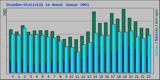 Stunden-Statistik im Monat Januar 2021