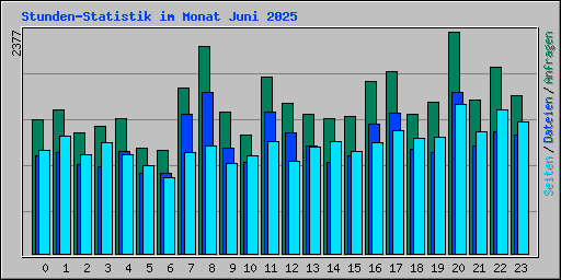 Stunden-Statistik im Monat Juni 2025