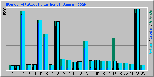 Stunden-Statistik im Monat Januar 2020