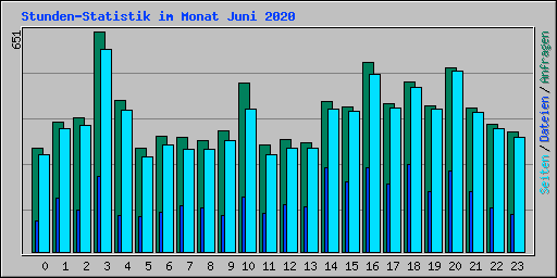 Stunden-Statistik im Monat Juni 2020