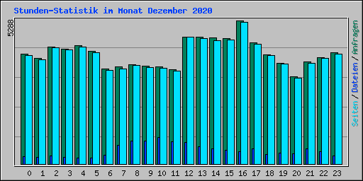 Stunden-Statistik im Monat Dezember 2020