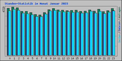 Stunden-Statistik im Monat Januar 2023