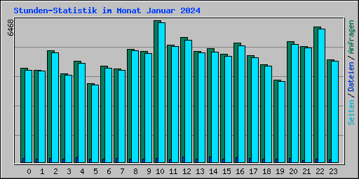 Stunden-Statistik im Monat Januar 2024