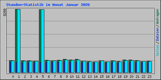 Stunden-Statistik im Monat Januar 2026