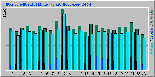 Stunden-Statistik im Monat November 2024