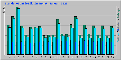 Stunden-Statistik im Monat Januar 2026