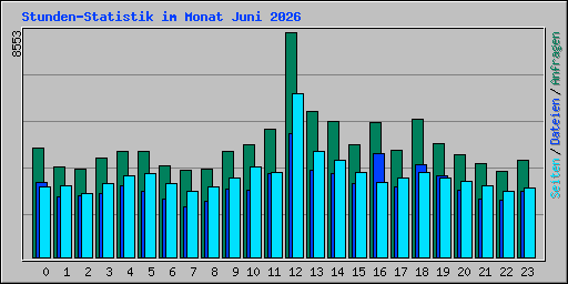 Stunden-Statistik im Monat Juni 2026